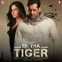 Ek Tha Tiger (2012) Mp3 Songs