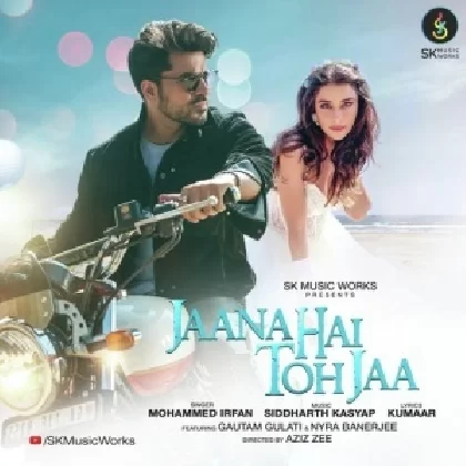 Jaana Hai Toh Jaa - Mohammed Irfan