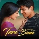 Tere Bina (Lover) - Rahat Fateh Ali Khan