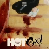 Charli XCX  - Hot Girl