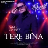 Tere Bina - Saaj Bhatt