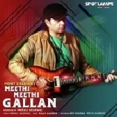 Meethi Meethi Gallan - Mohit Chauhan