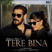 Tere Bina - Salman Khan