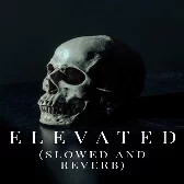 Elevated - Slowed Reverb