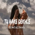 Tu Aake Dekhle - Slowed Reverb