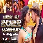 Best of 2022 Mashup - DJ Shadow Dubai x DJ Ansh