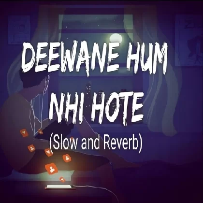 Deewane Hum Nahi Hote Lofi