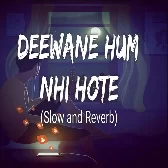Deewane Hum Nahi Hote Lofi
