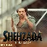 Shehzada Theme