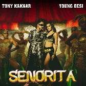 Senorita - Tony Kakkar