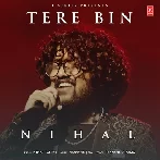 Tere Bin - Nihal Tauro