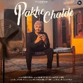 Pakhe Chalde - Jass Bajwa