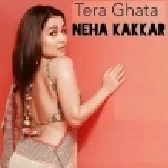 Tera Ghata - Neha Kakkar