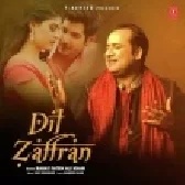 Dil Zaffran - Rahat Fateh Ali Khan