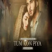 Tum Kon Piya - Rahat Fateh Ali Khan