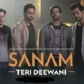 Teri Deewani - Sanam