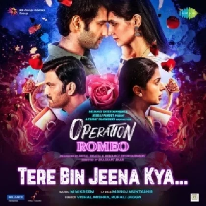 Tere Bin Jeena Kya (Operation Romeo)
