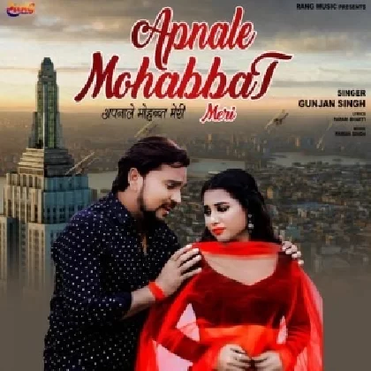 Apnale Mohabbat Meri - Gunjan Singh