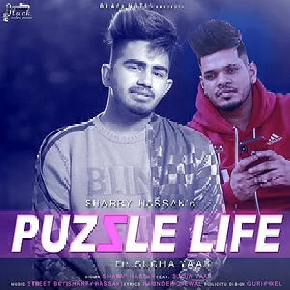 Puzzle Life - Sharry Hassan
