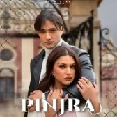 Pinjra - Asim Riaz