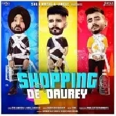 Shopping De Daurey - The Landers
